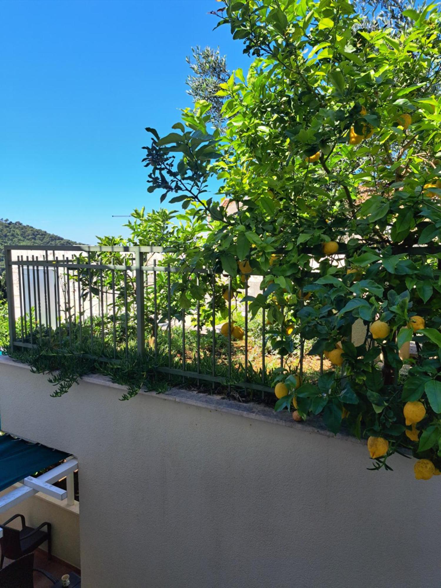 Margaretic Apartamento